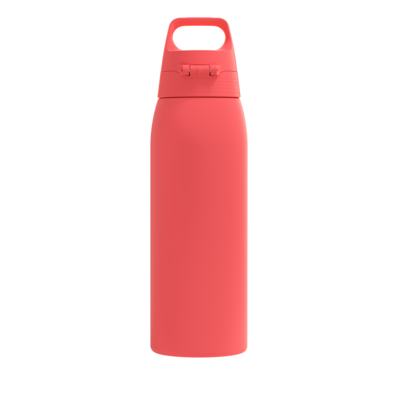 SIGG Shield One teräksinen juomapullo Watermelon 1.0L