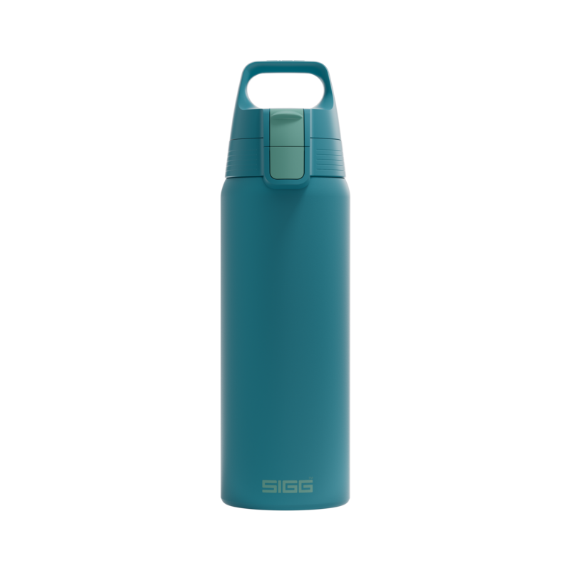 SIGG Shield One teräksinen juomapullo Blue Puya 0.75 L