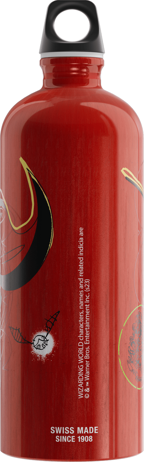 Quidditch 1,0 L - Juomapullot - sigg-shop.fi