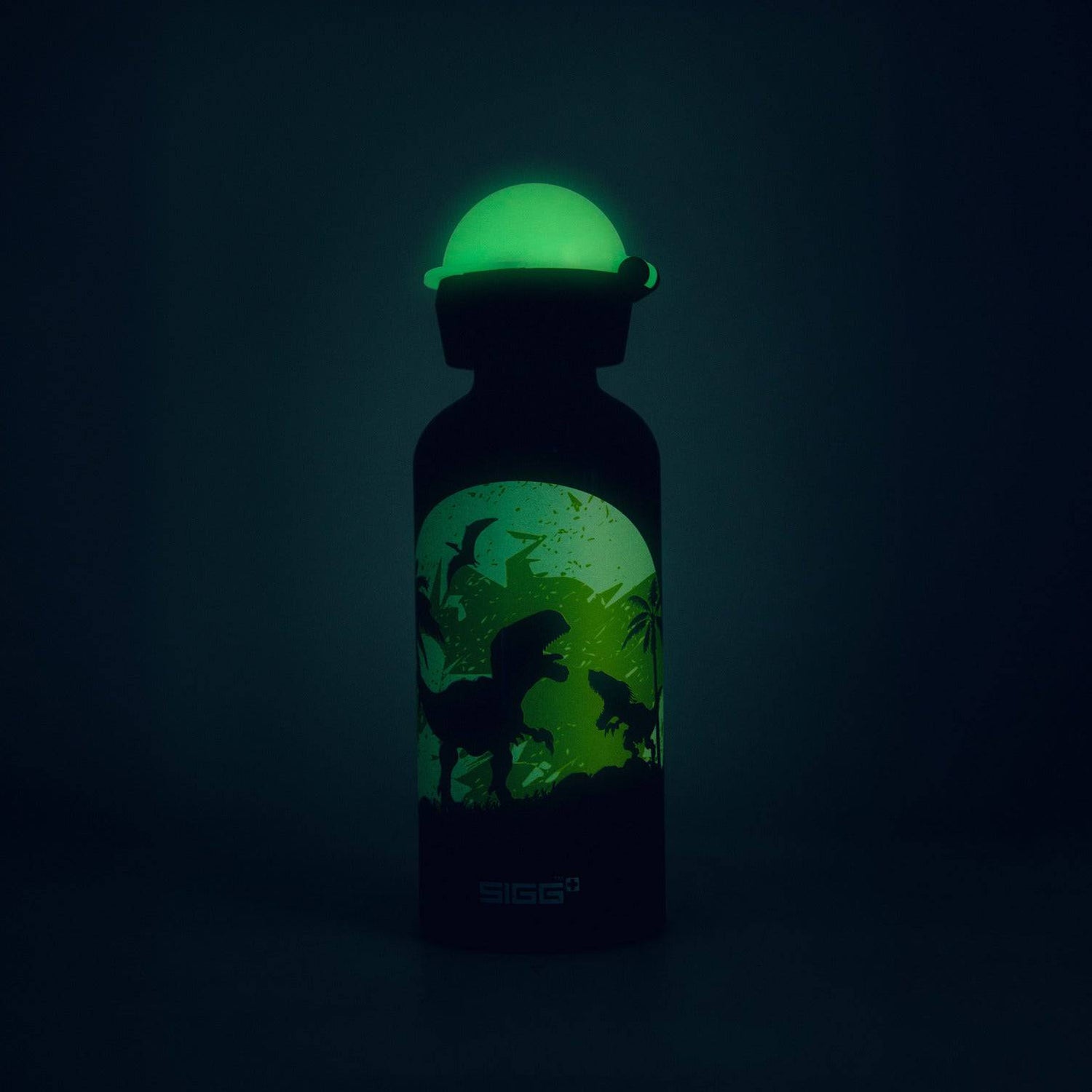 Glow Moon Dinos 0,4 L - Lastenpullot - sigg-shop.fi