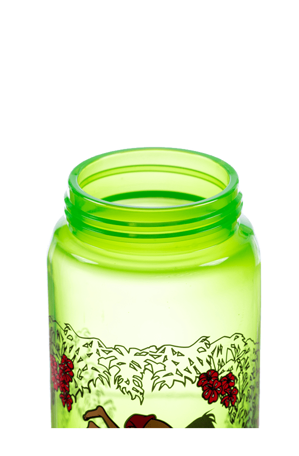 VIVA ONE Dory 0,5 L - Lastenpullot - sigg-shop.fi