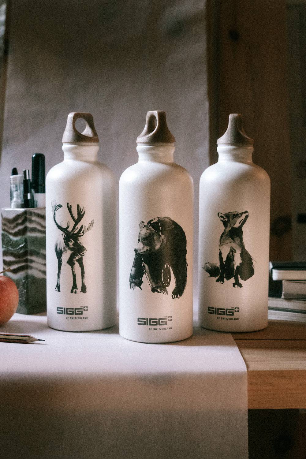 SIGG X TJ Gentle Bear 0,6 L - Juomapullot - sigg-shop.fi
