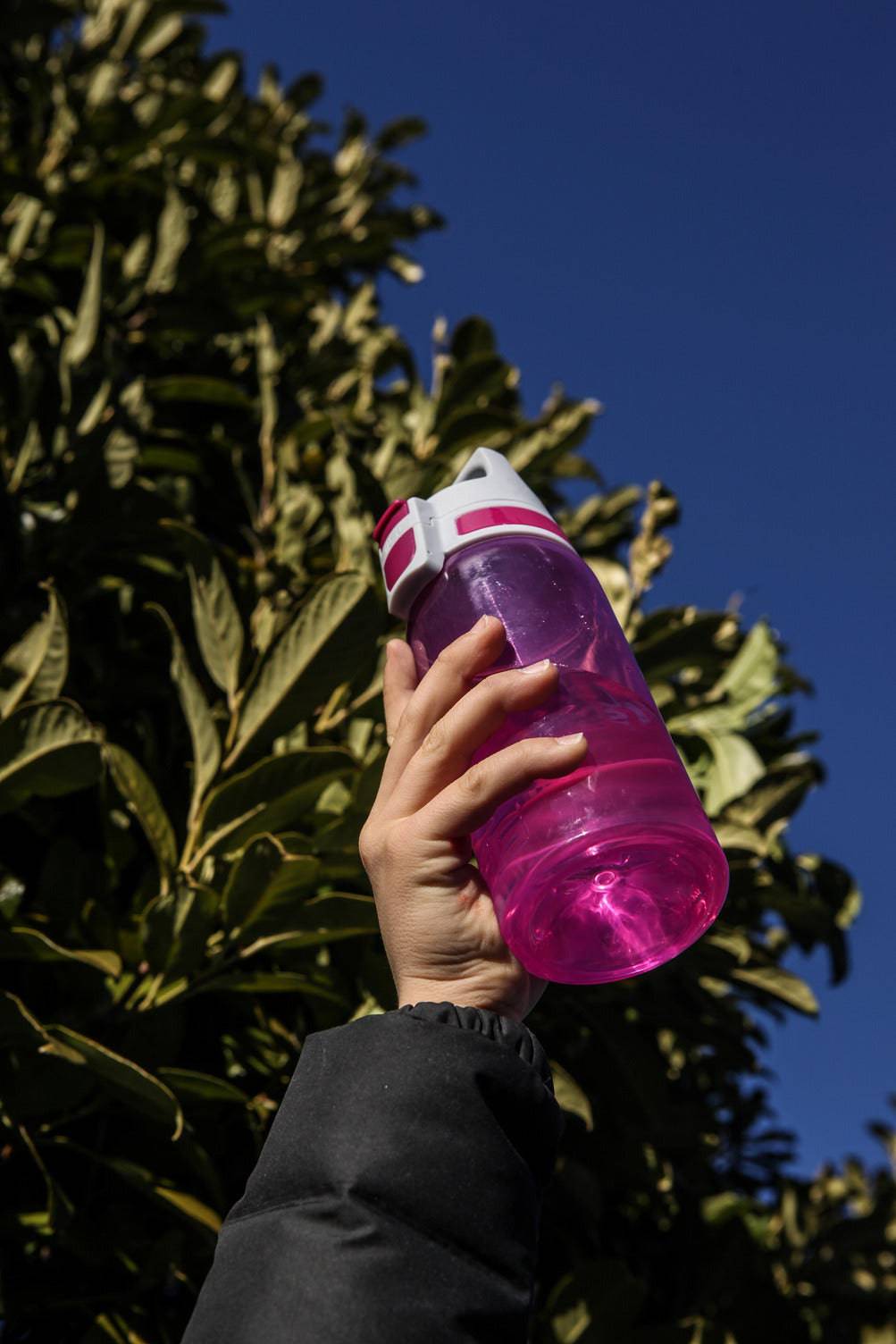 VIVA ONE Berry 0,5 L - Urheilupullot - sigg-shop.fi