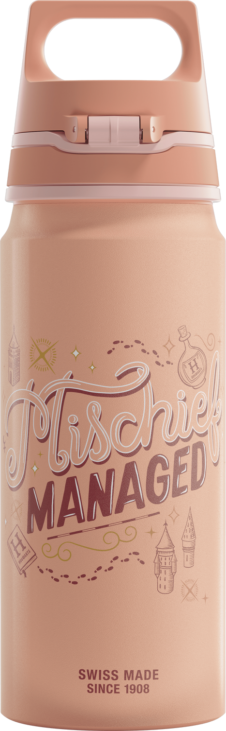 SIGG WMB ONE Hermione 0.6 L