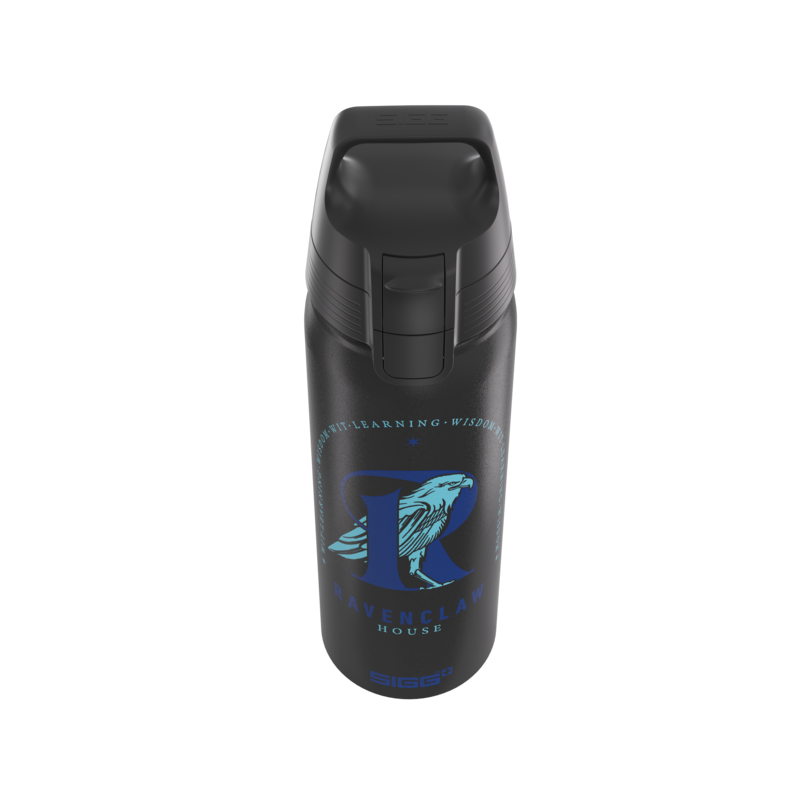 SIGG WMB ONE Ravenclaw 0.75L alumiinipullo