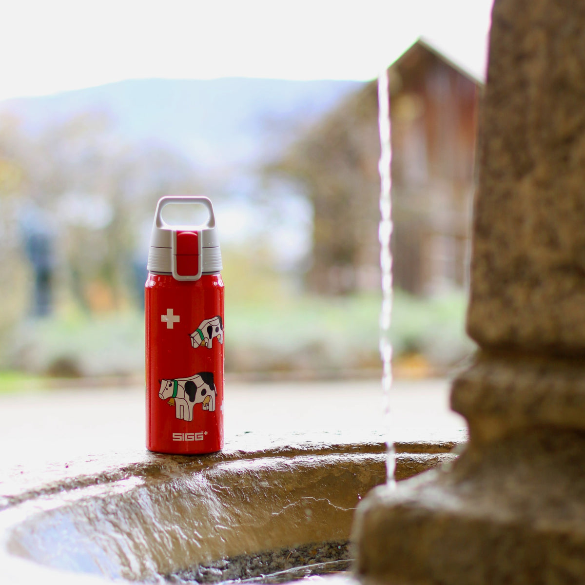 SIGG WMB ONE Swiss Cows 0,6 l, käytössä ulkona
