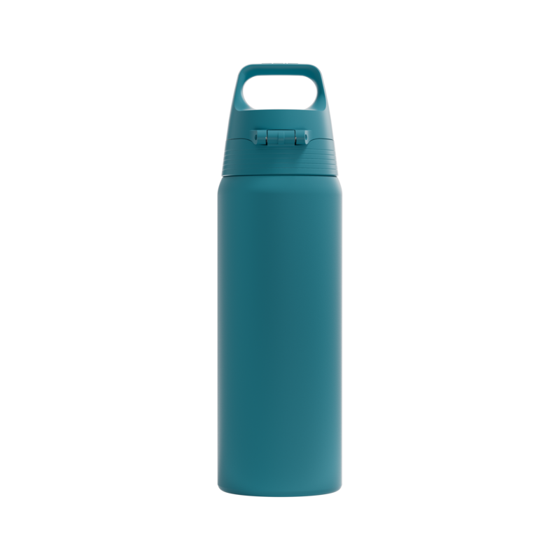 SIGG Shield One teräksinen juomapullo Blue Puya 0.75 L