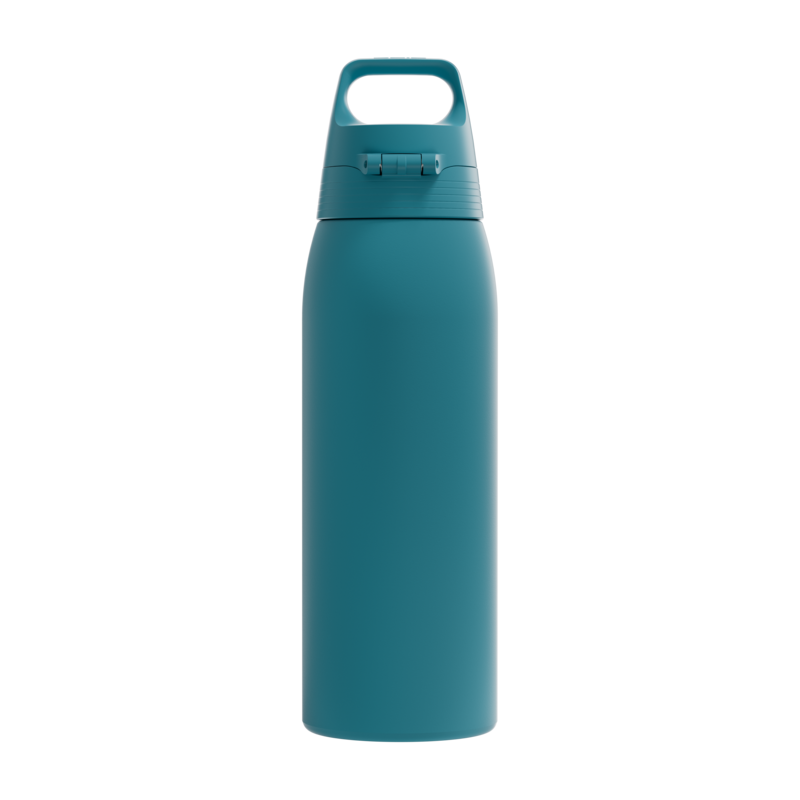 SIGG Shield One teräksinen juomapullo Blue Puya 1.0L