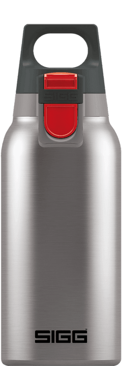 SIGG 0,3 L H&C ONE Brushed - bonge.fi