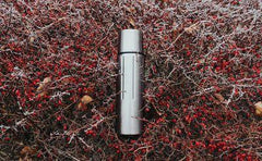 SIGG 0,75 L Gemstone IBT Selenite - bonge.fi