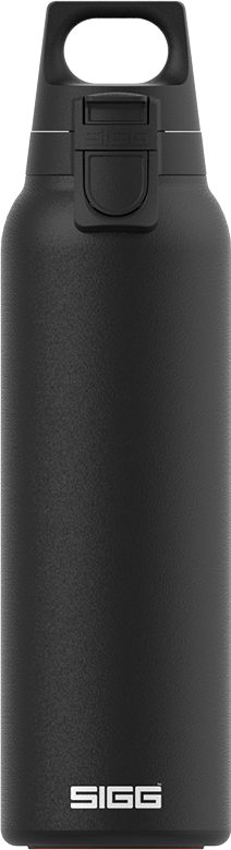 H&C ONE Light Black 0,5 L